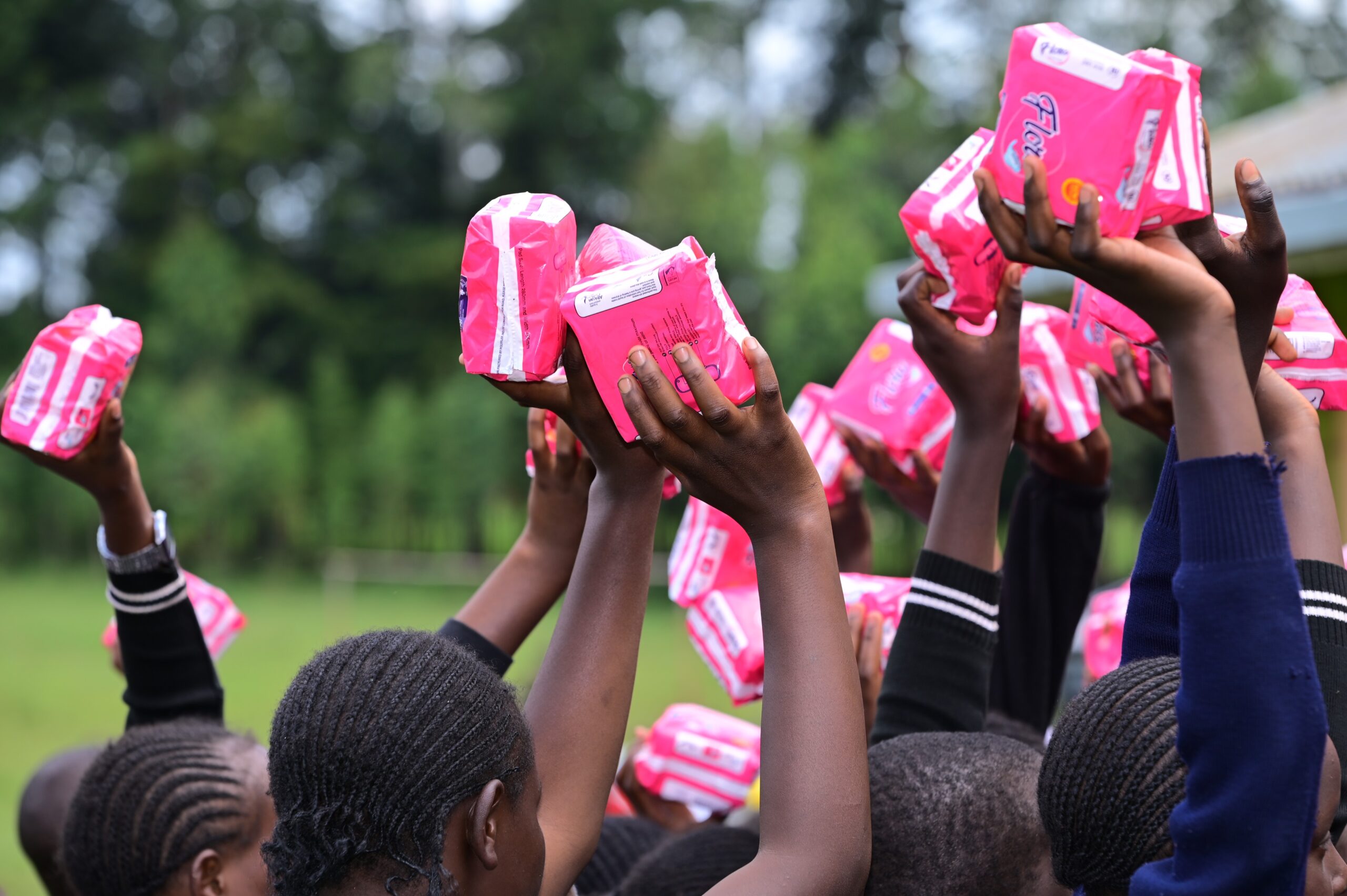 Donated Park dignity